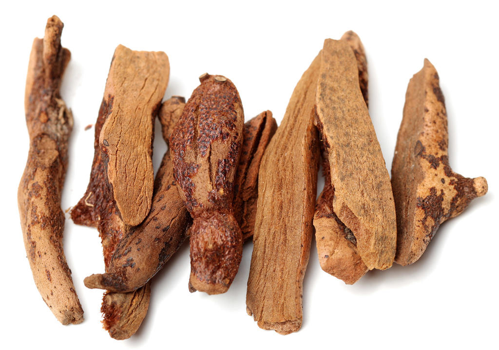 Gu Sui Bu (Drynaria rhizomes) as TCM ingredient