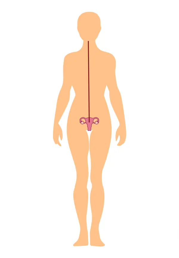 Directing Vessel pathway diagram