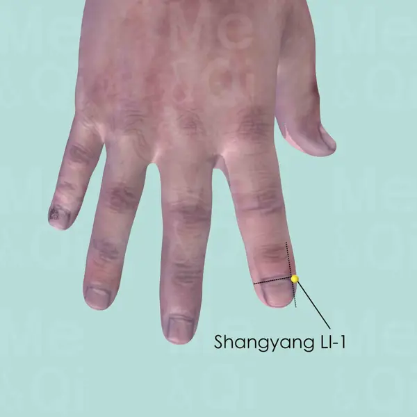 Shangyang LI-1 location