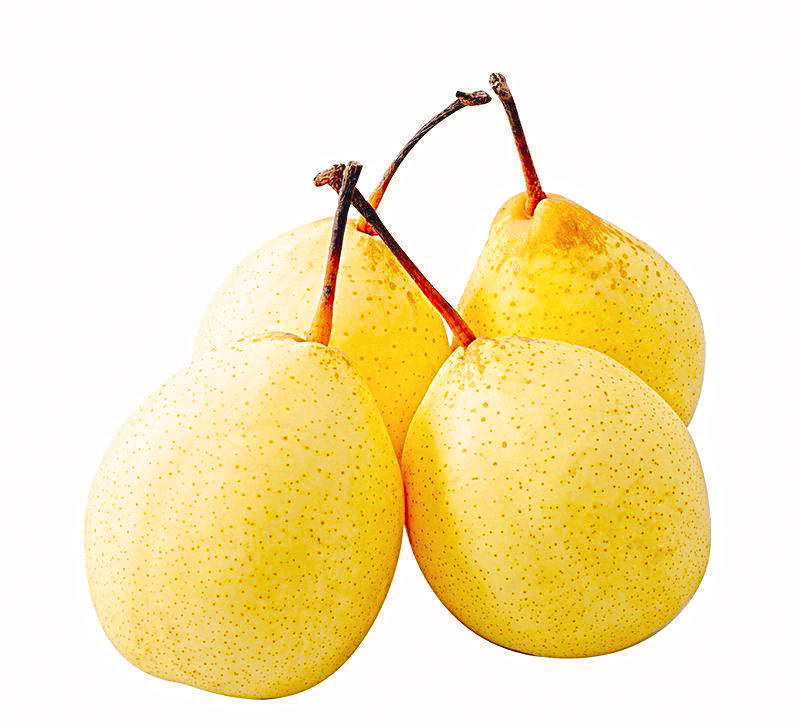 Li Pi (Pear skins) plant