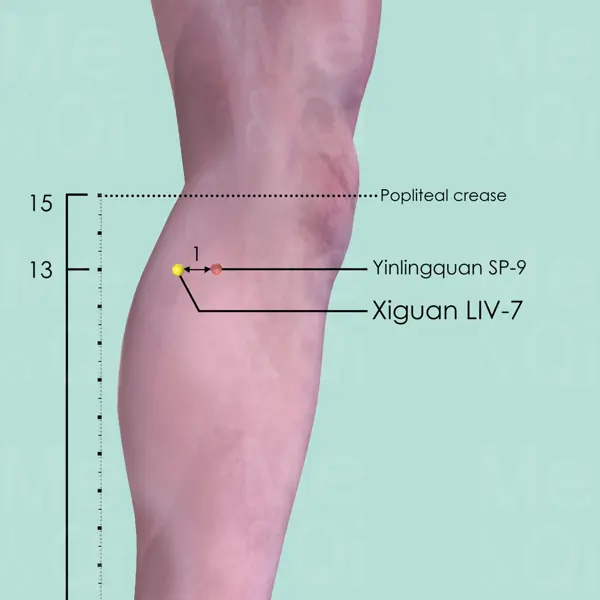 Xiguan LR-7 location