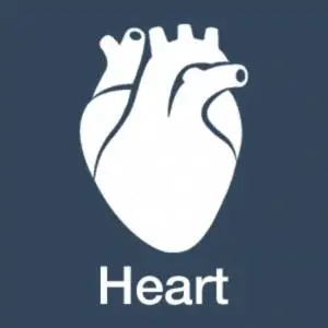 The Heart in Traditional Chinese Medicine