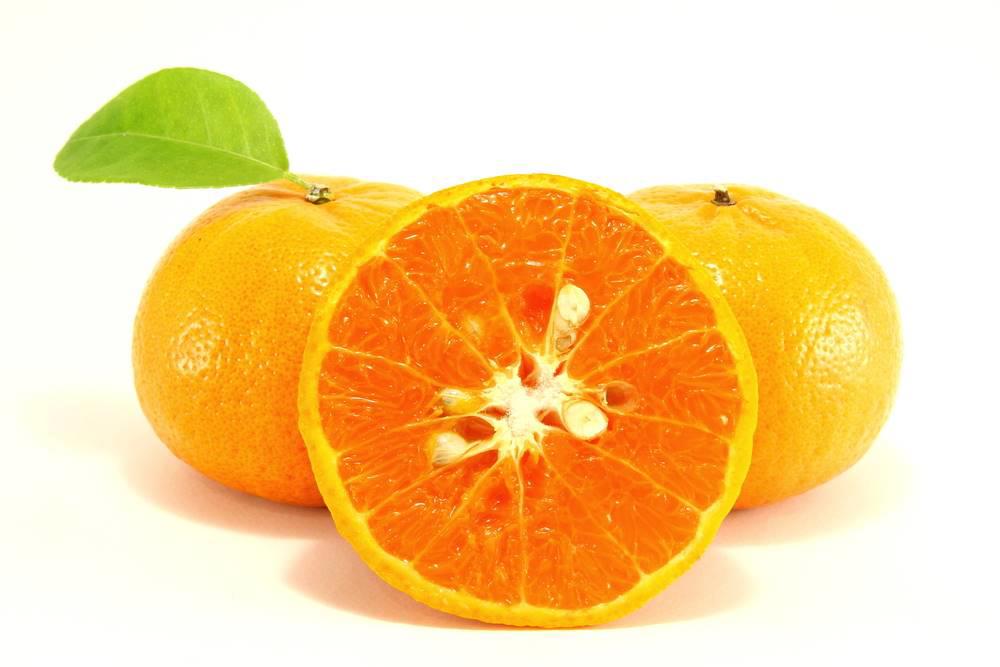 Zhi Ke (Bitter oranges) plant