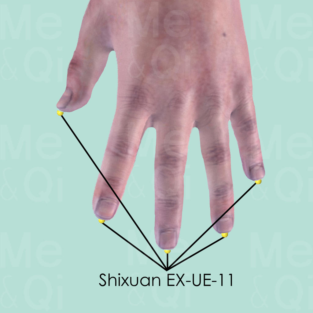 Shixuan EX-UE-11 location