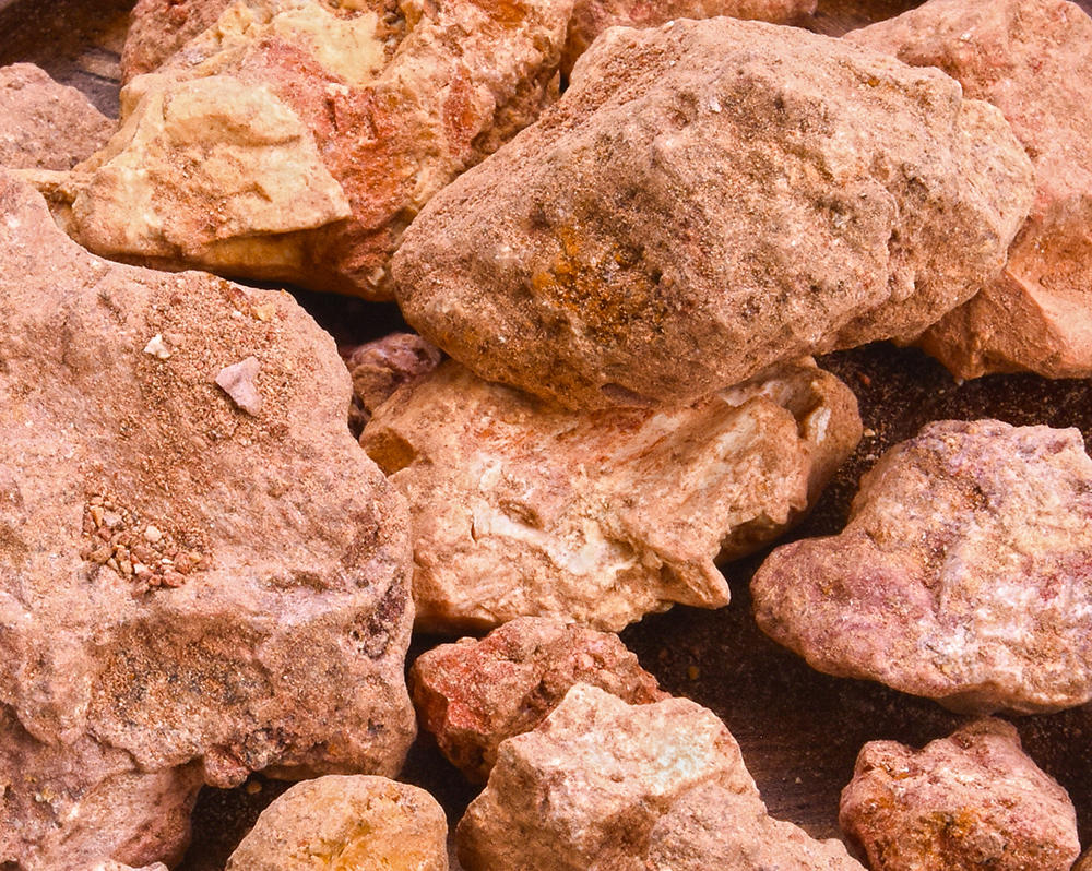 Chi Shi Zhi (Red Halloysite) plant