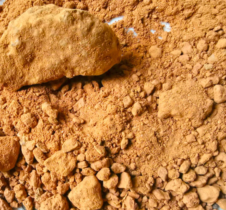 Zao Xin Tu (Stove earth) plant