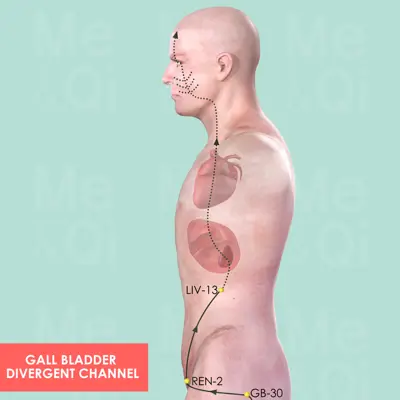 Gall Bladder Divergent Channel pathway