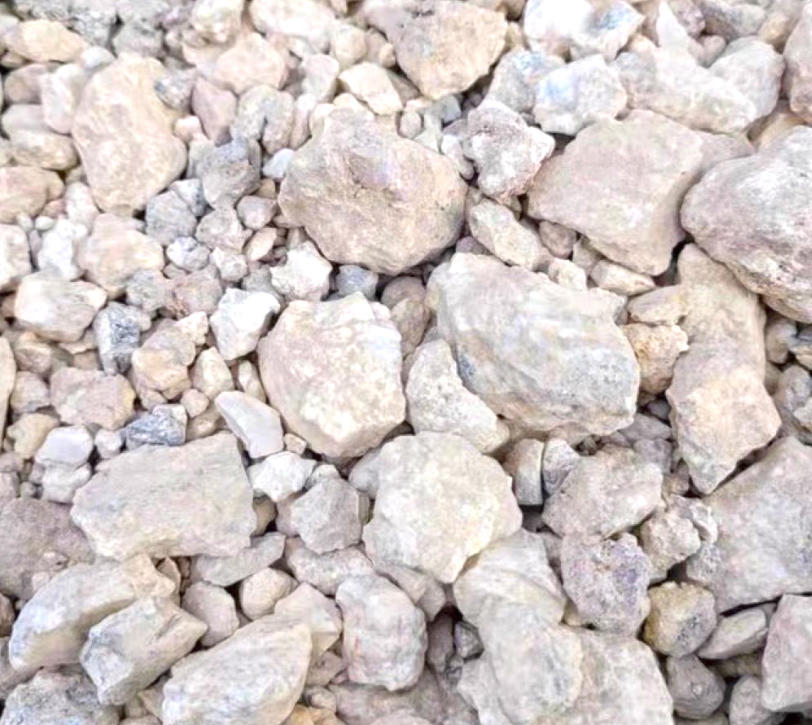 Bai Shi Zhi (Kaolinite) plant