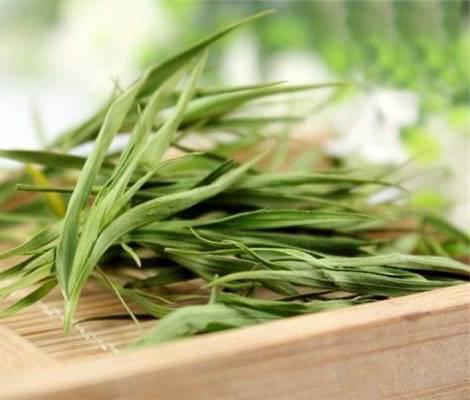 Dan Zhu Ye (Lophatherum herbs) plant