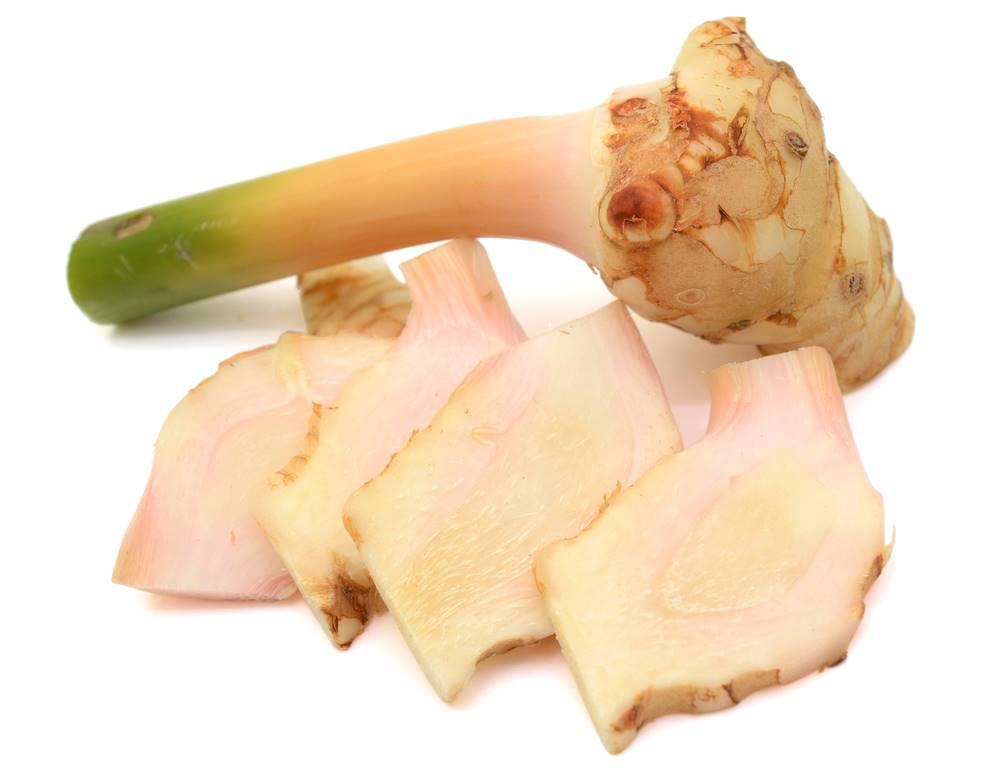 Gao Liang jiang (Lesser galangal rhizomes) plant