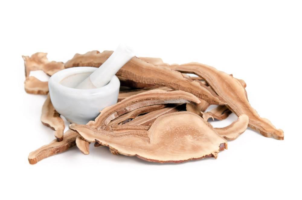 Ling Zhi (Lingzhi mushroom) as TCM ingredient