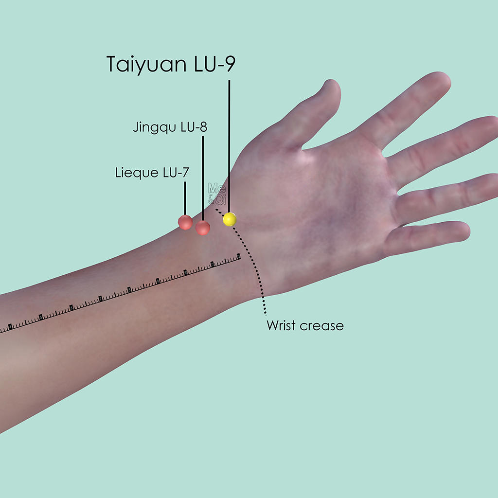 Taiyuan LU-9 location