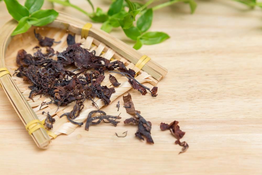 Hai Zao (Sargassum) as TCM ingredient