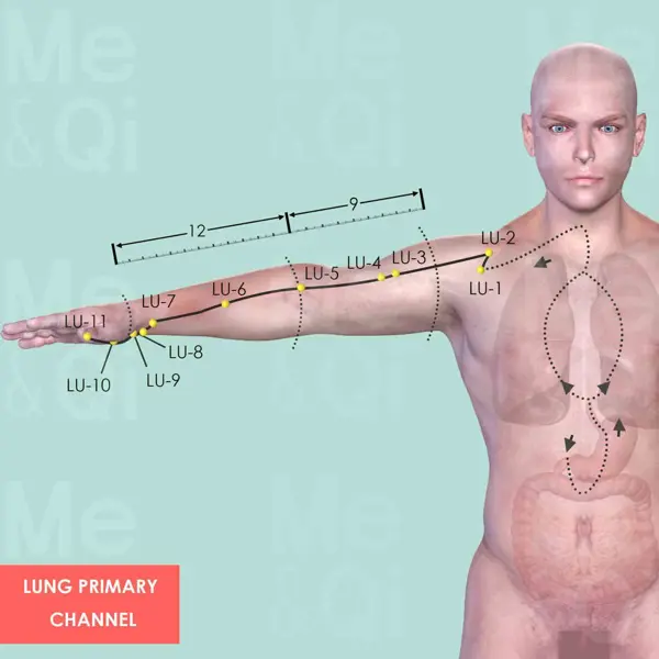 Lung Meridian pathway diagram