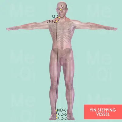 Yin Stepping Vessel  pathway