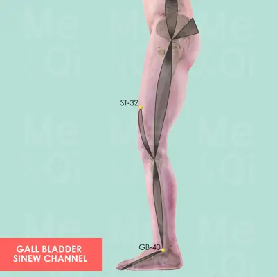 Gall Bladder Sinew Channel pathway
