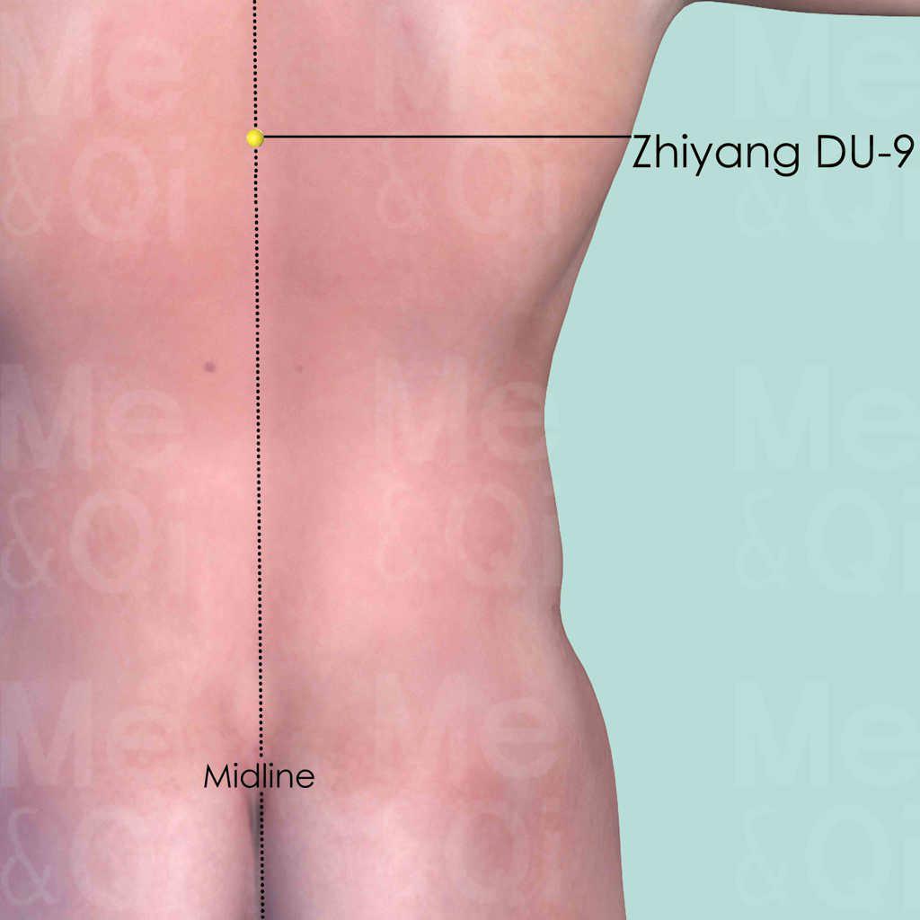 Zhiyang DU-9 location