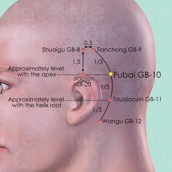 Fubai GB-10 location