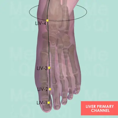 Liver Primary Channel pathway