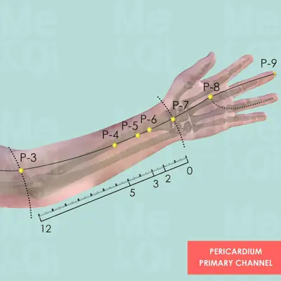 Pericardium Primary Channel pathway