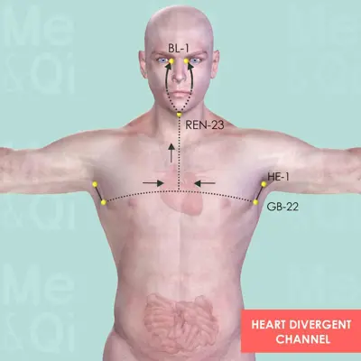 Heart Divergent Channel pathway