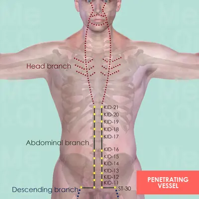 Penetrating Vessel pathway