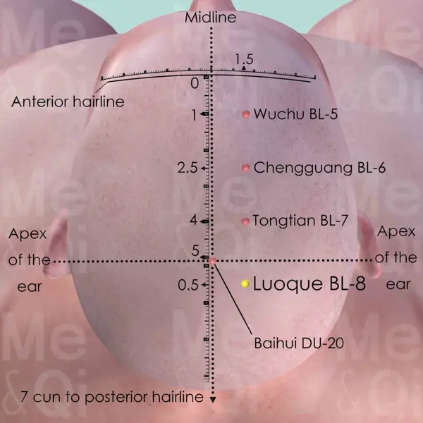 Luoque BL-8 location
