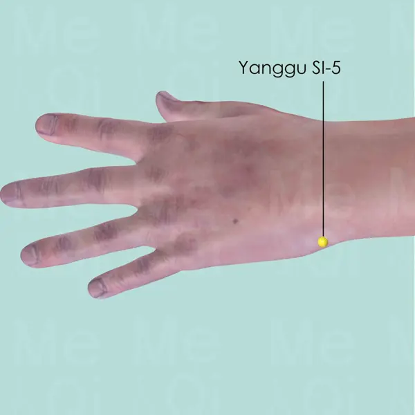 Yanggu SI-5 location