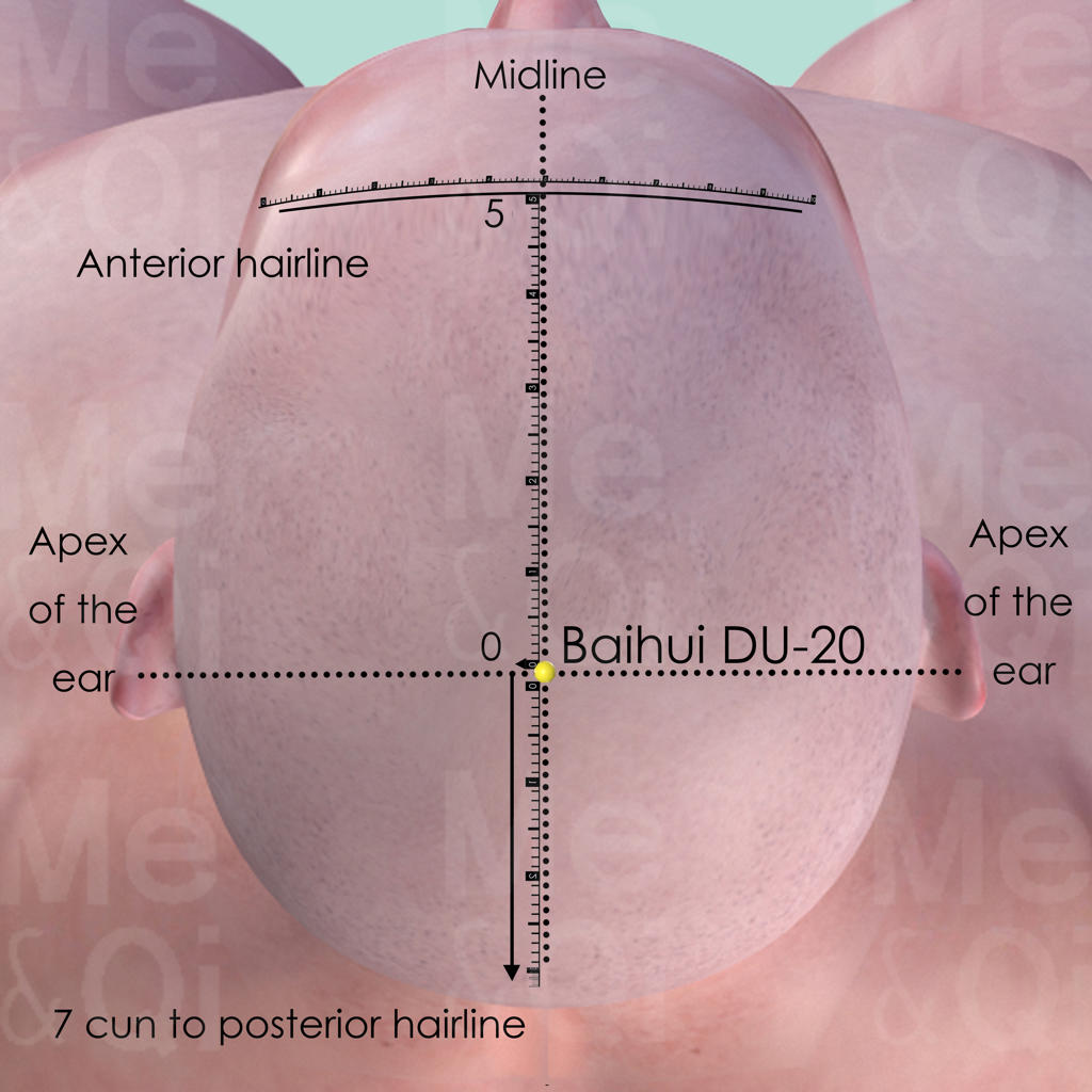 Baihui DU-20 location
