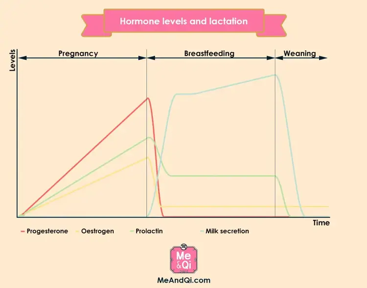 Hormone levels and lactation