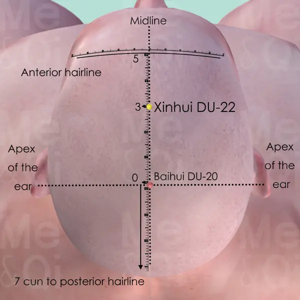 Xinhui DU-22 location