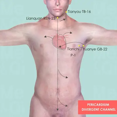 Pericardium Divergent Channel pathway