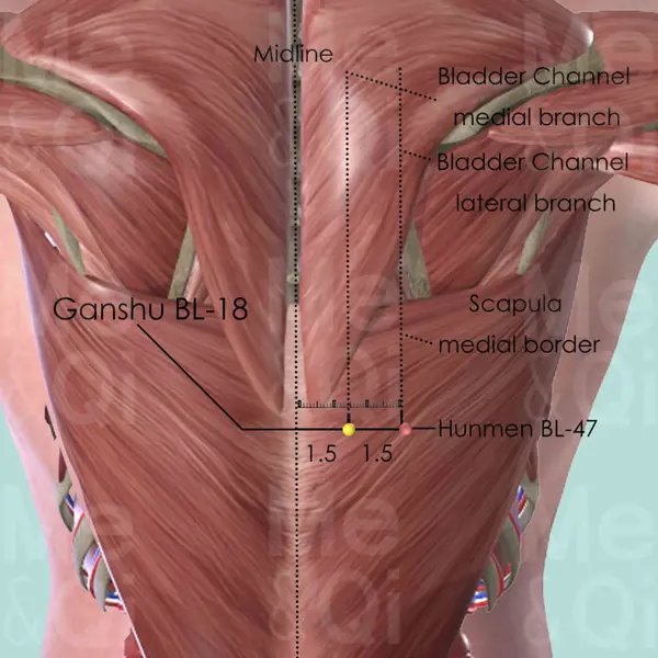 Ganshu BL-18 location