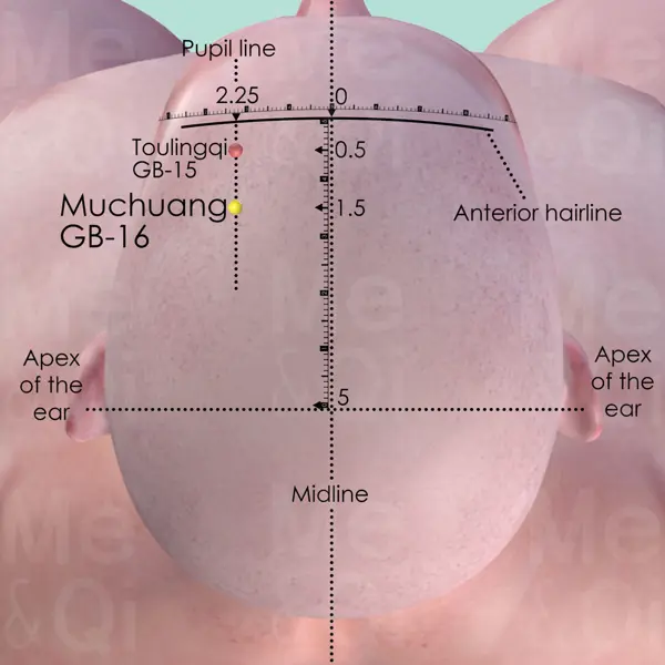 Muchuang GB-16 location