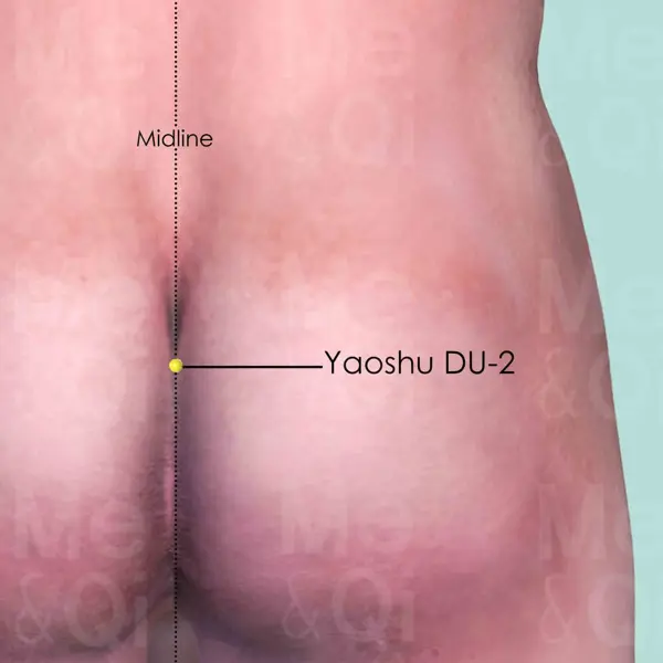 Yaoshu DU-2 location