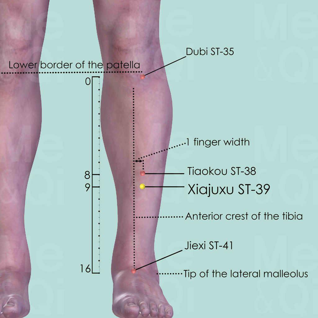 Xiajuxu ST-39 location