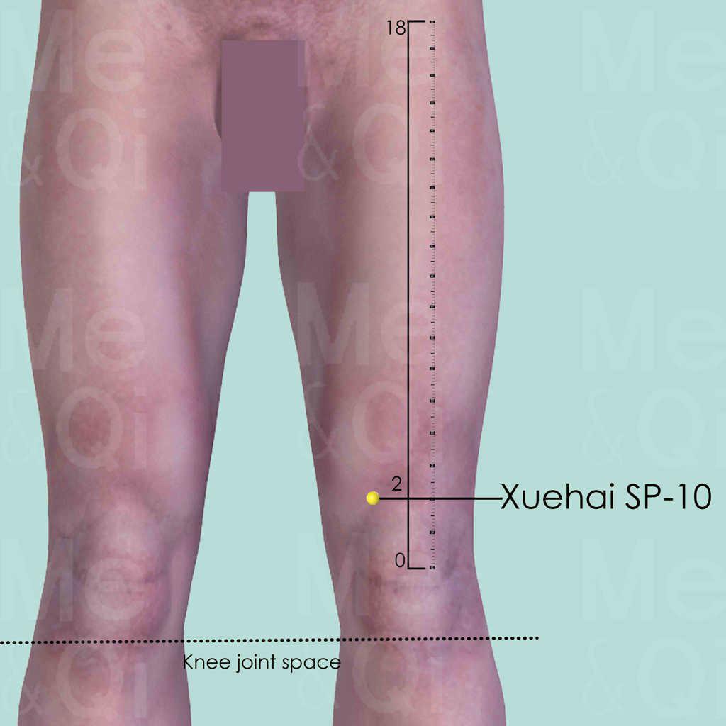 Xuehai SP-10 location