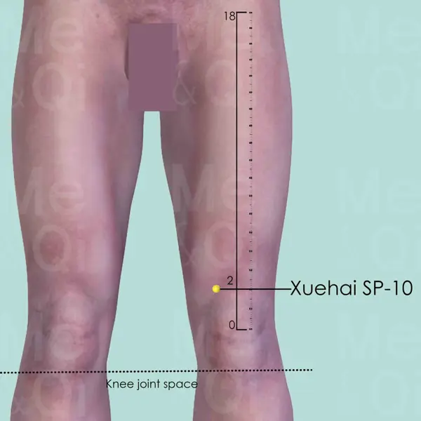 Xuehai SP-10 location