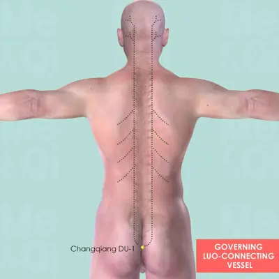 Governing Luo-Connecting Vessel pathway