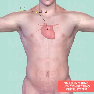Small Intestine Luo-Connecting Vessel System pathway