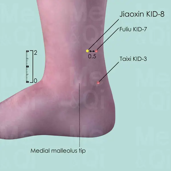 Jiaoxin KI-8 location