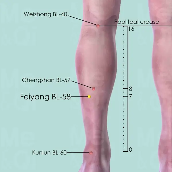 Feiyang BL-58 location