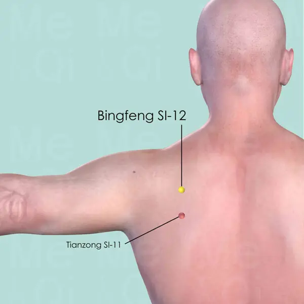 Bingfeng SI-12 location