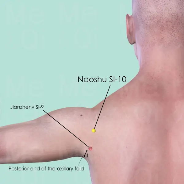Naoshu SI-10 location