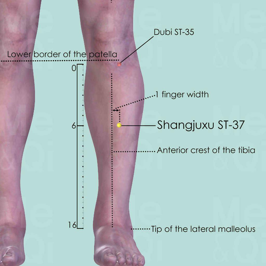 Shangjuxu ST-37 location