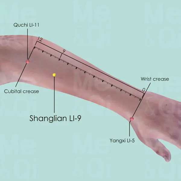 Shanglian LI-9 location