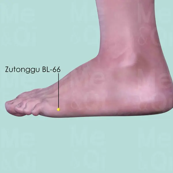 Zutonggu BL-66 location