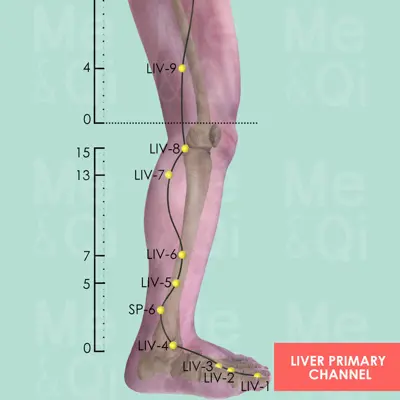 Liver Primary Channel pathway