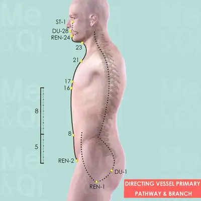 Directing Vessel Primary pathway pathway