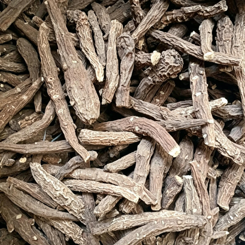 Xue Shang Yi Zhi Hao